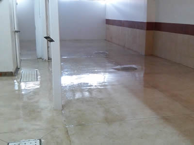 pintura para piso de colores Guadalajara
